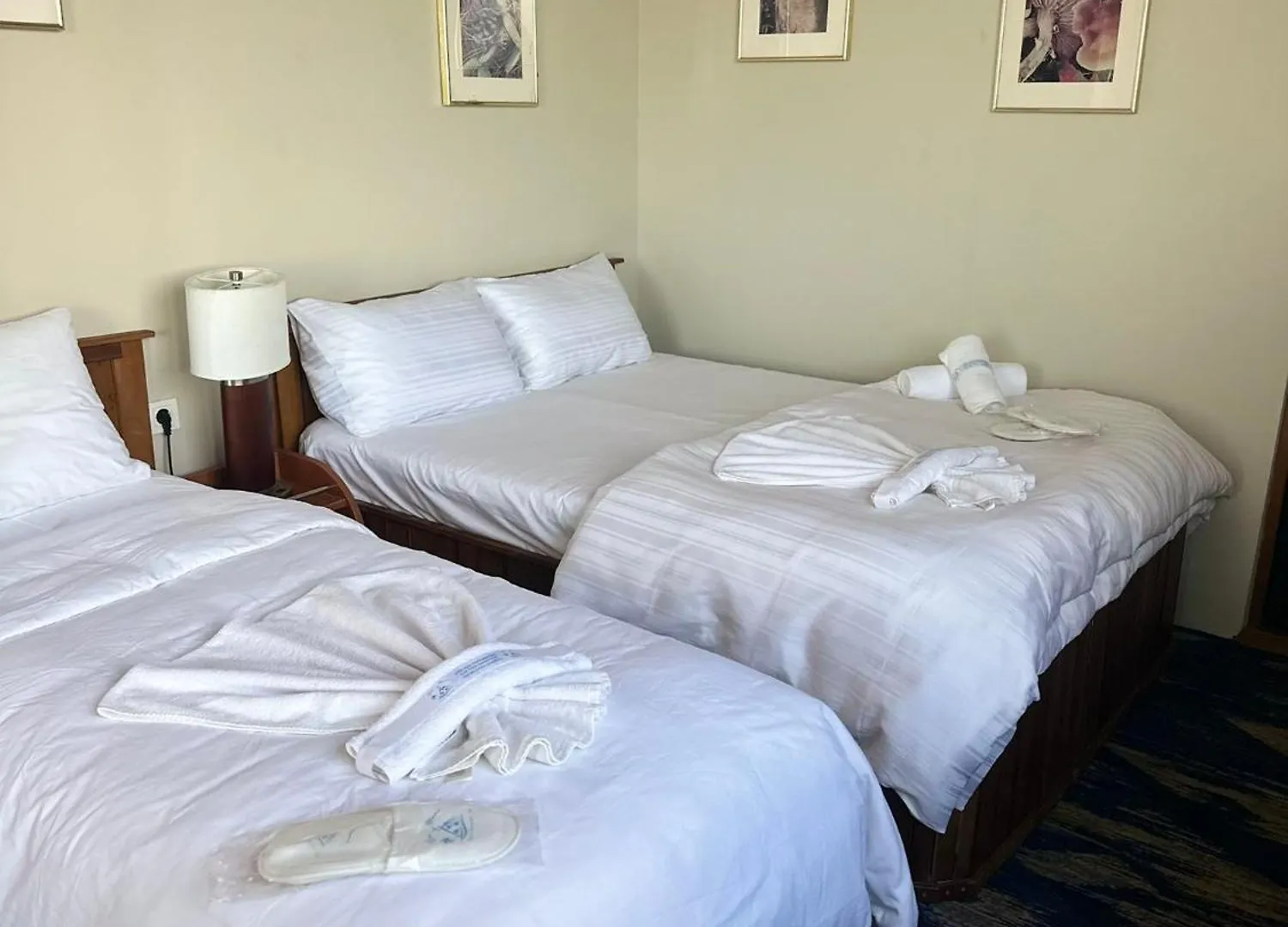 Reva Miami Hotel Foca