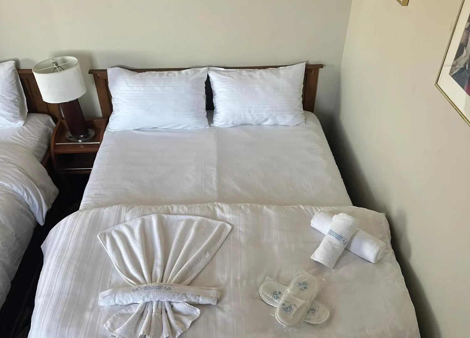 Reva Miami Hotel Foca